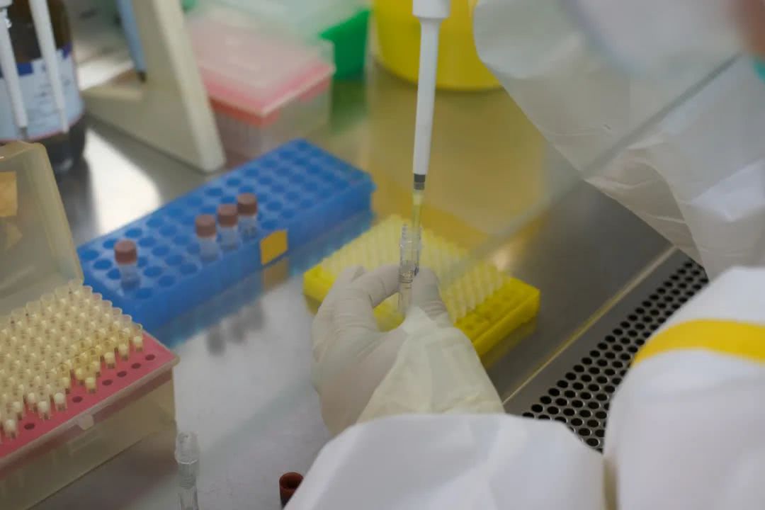 核酸檢測又降價！多地增設24小時檢測服務機構(gòu)